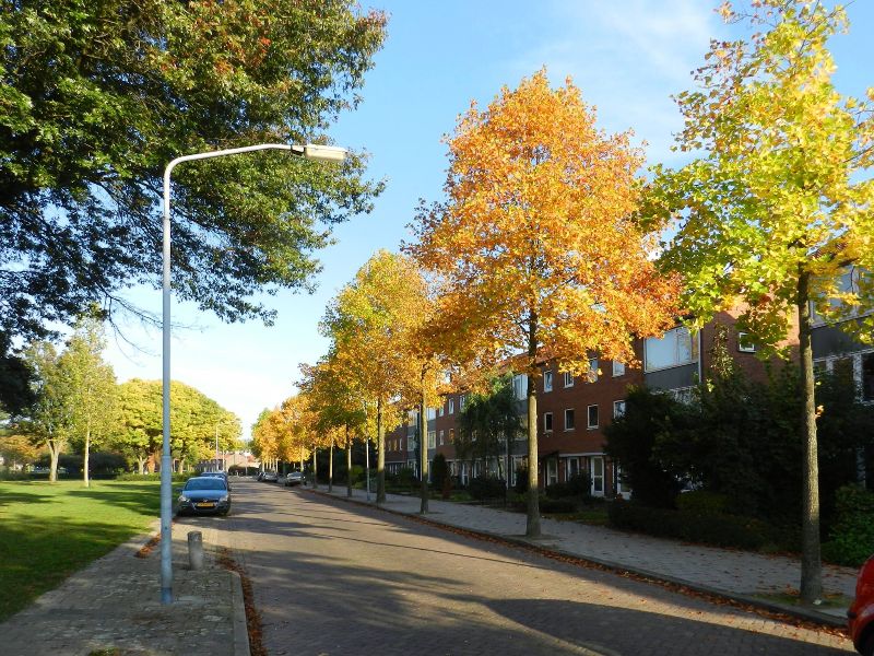 ©Pierre Goolaerts_Schaapmanstraat.jpg